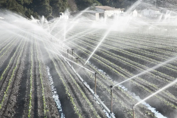 Irrigação em um campo Imagem De Stock