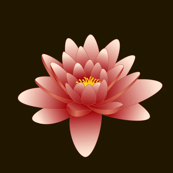 Black Lotus çiçeği. vektör çizim — Stok Vektör