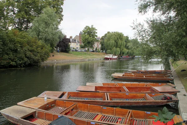 Punts in river Cam — Stock Photo, Image