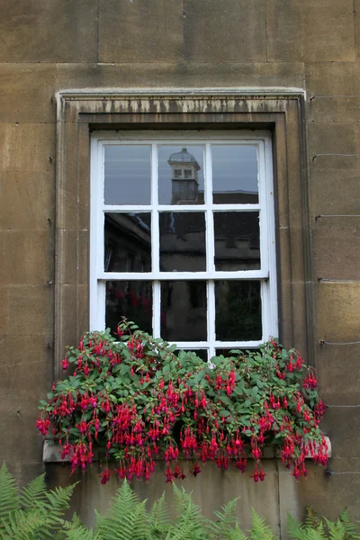 Окно жилого дома — стоковое фото