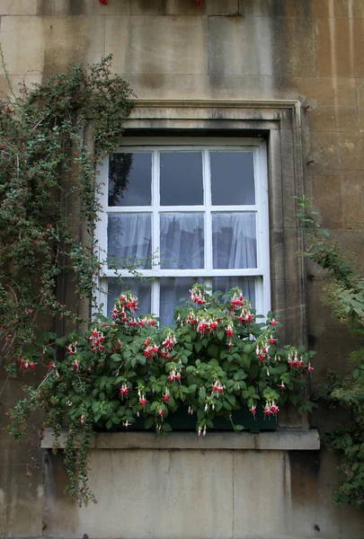 주거 집의 창 — 스톡 사진
