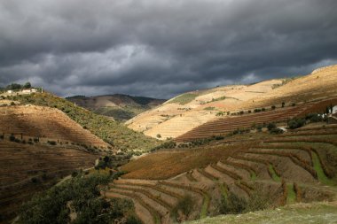 Alto douro şarap bölgesi