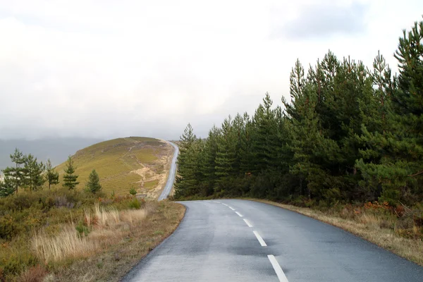 Curva estrada na montanha — Fotografia de Stock