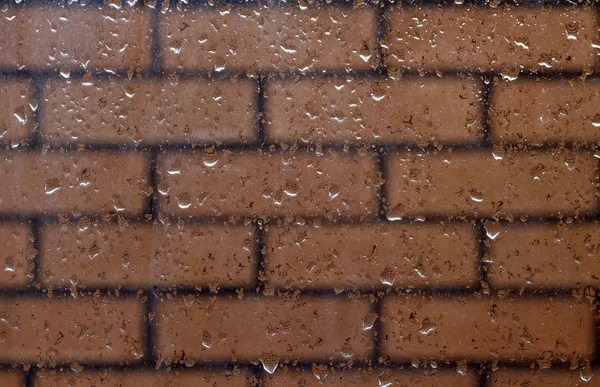 stock image Heavy rain drops on window