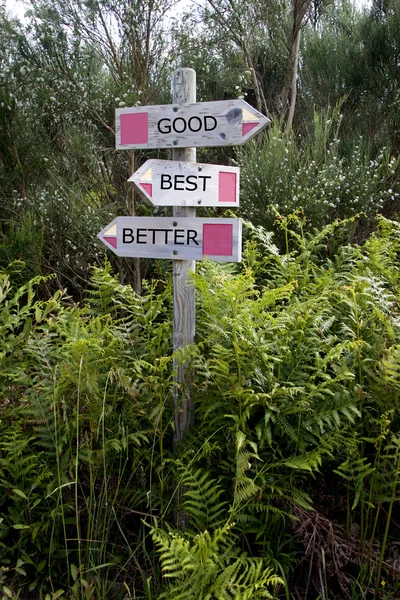 Άποψη των δύο ξύλινες πινακίδες κατεύθυνσης για ένα πόλο — Φωτογραφία Αρχείου