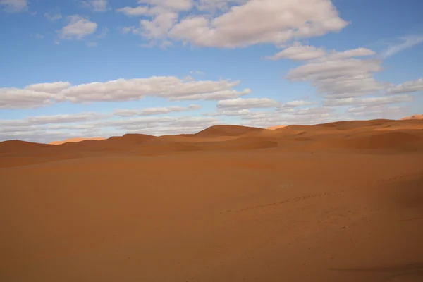 Pouštní duny, Maroko — Stock fotografie