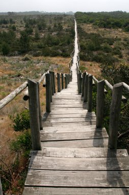 Tahta yol