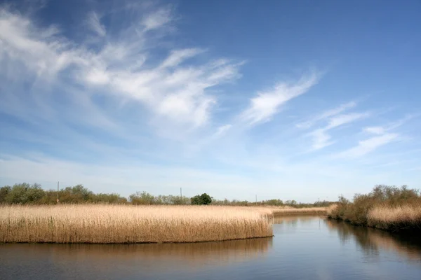 stock image Landscape with a lake and blue sky