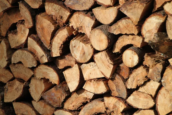 Troncos de madeira — Fotografia de Stock
