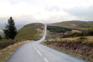 eğri yol