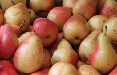 Armut görüntü Farmer's Market '