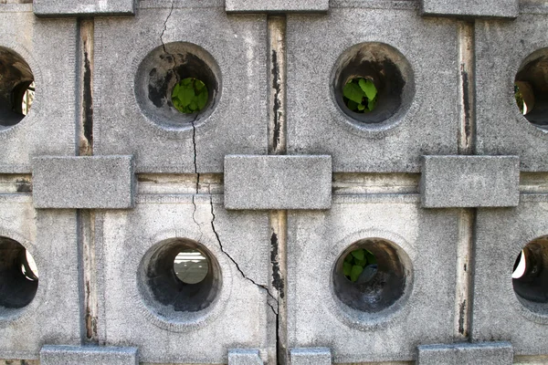 Muur met gaten — Stockfoto