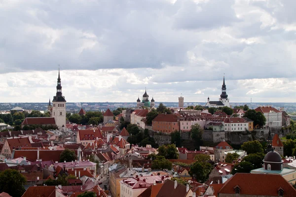 Tallinn 's oude stad — Stockfoto