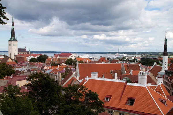 Tallinns gamla stad — Stockfoto