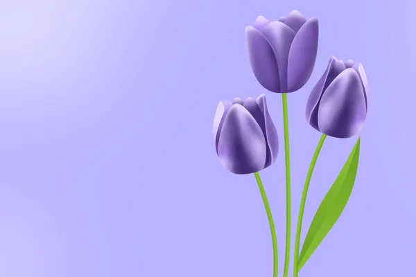 stock image Purple tulips