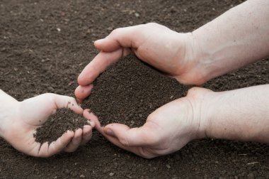 Soil in hands clipart