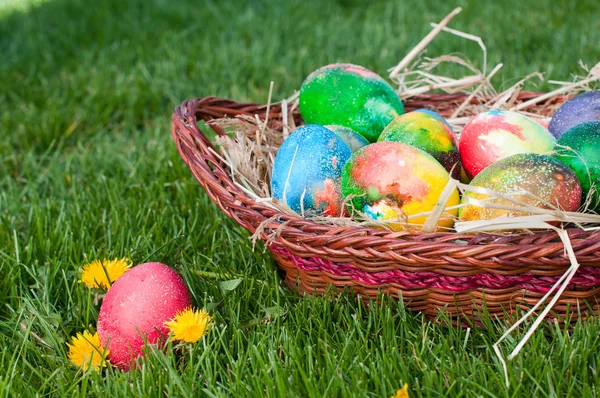 Hon na velikonoční vajíčka — Stock fotografie