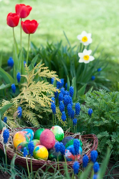 Easter eggs hunt — Stock Photo, Image
