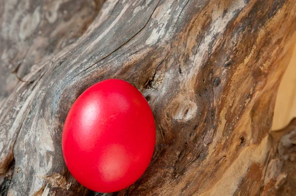 Huevo rojo de Pascua —  Fotos de Stock