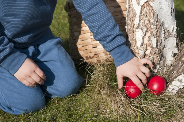 Easter hunt — Stock Photo, Image