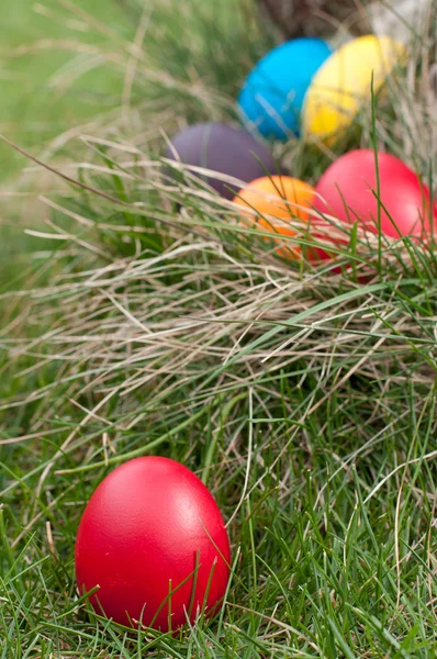 stock image Easter eggs