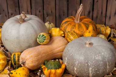 Pumpkins in the autumn clipart