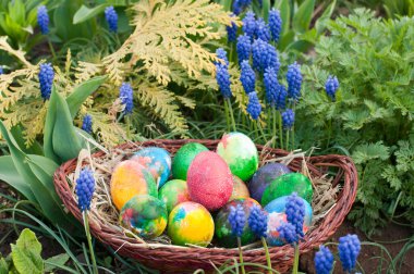 Easter eggs hunt clipart
