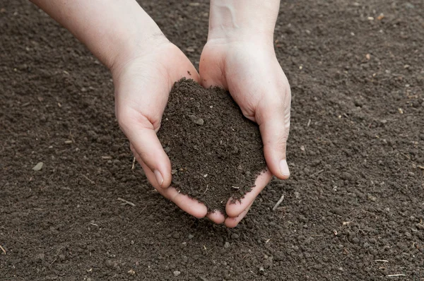 Soil in hands — Stock Photo, Image