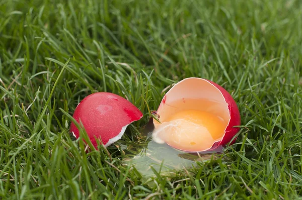 Huevo de Pascua sorpresa —  Fotos de Stock