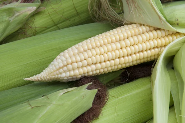 Corn On The Cob — Stock Photo, Image