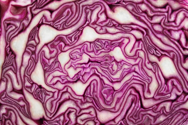 Red cabbage background — Stock Photo, Image