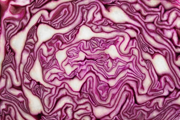 Rotkohl-Hintergrund — Stockfoto