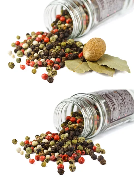 Spices: mixed peppercorns, bay leaves, nutmeg isolated — Stock Photo, Image