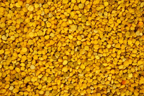 Bee pollen grain background — Stock Photo, Image