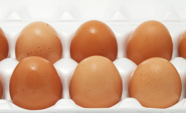 Hnědá vejce v balení — Stock fotografie