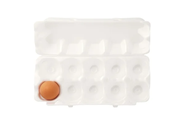 Um ovo na embalagem de ovos — Fotografia de Stock