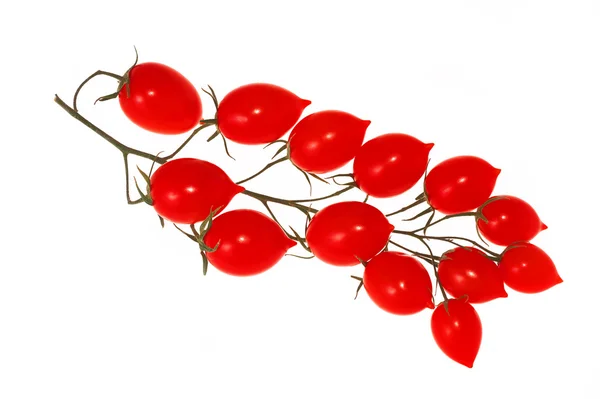 Little tomatoes — Stock Photo, Image