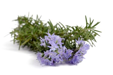 Rosemary with flowers clipart