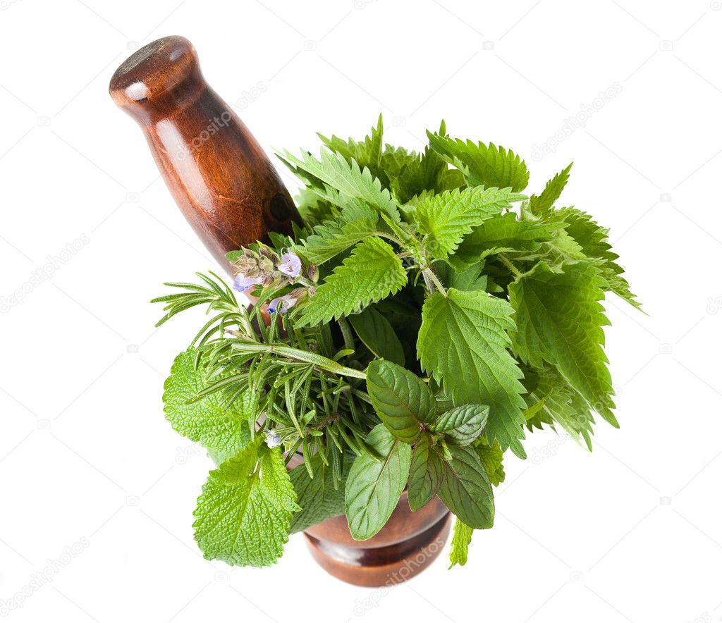 Mix herbs Stock Photo by ©scis65 10351313