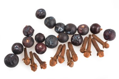 Juniper berries and cloves clipart