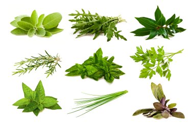 Mix aromatic herbs clipart