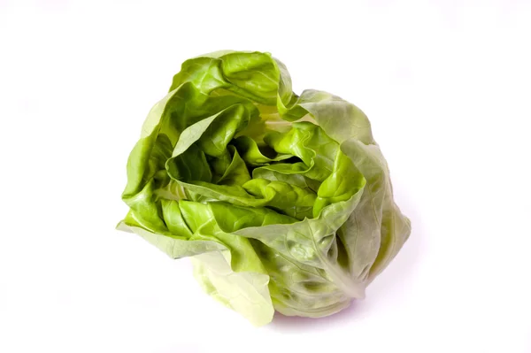Fresh butterhead lettuce — Stock Photo, Image