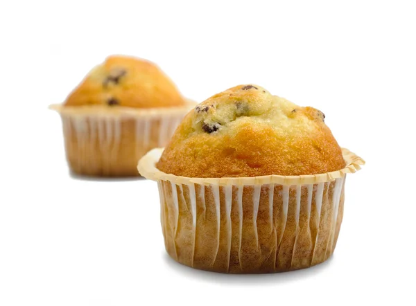 Un paio di muffin — Foto Stock