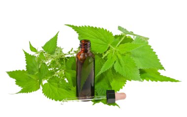 Nettle extract clipart