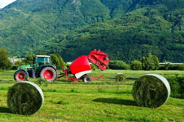 Trabajos agrícolas — Foto de Stock