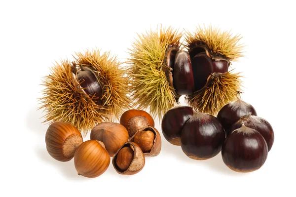 Chestnuts and hazelnuts — Stock Photo, Image