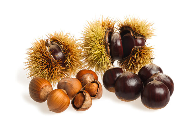 Chestnuts and hazelnuts