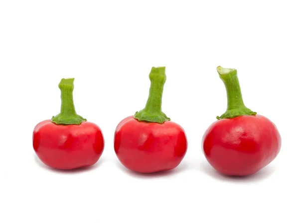 Pepper cherry — Stockfoto