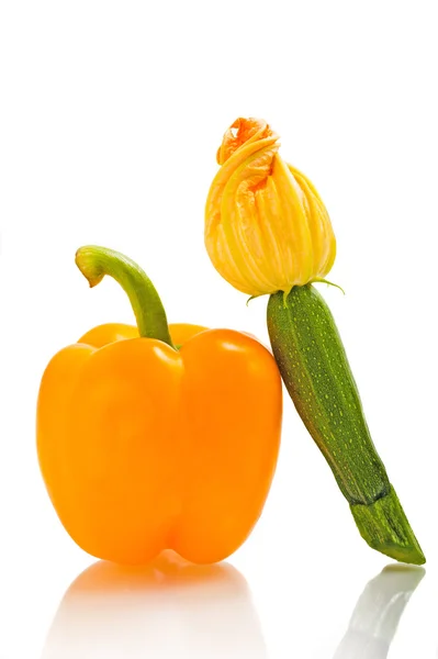 Squash blommor och peppar — Stockfoto
