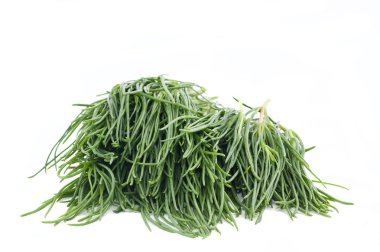 Agretti